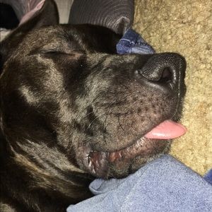 Meet your Posher, Julia